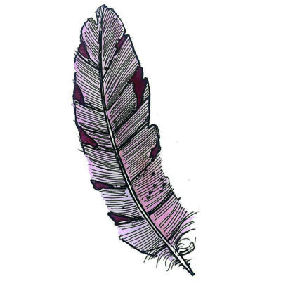 Semi plume Feathers