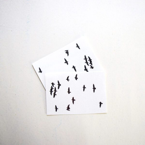 FLOCKS OF BIRDS - Image 2