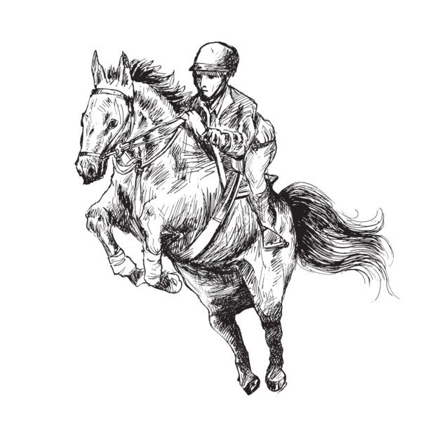 Rider on Horse