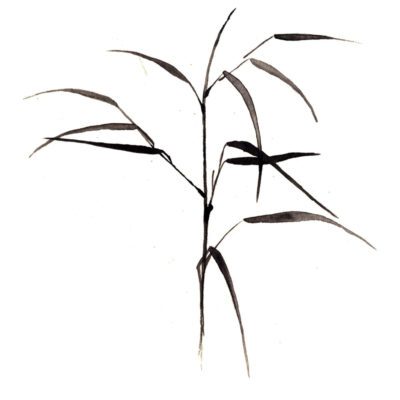 Bamboo Brush Painting Tattoo