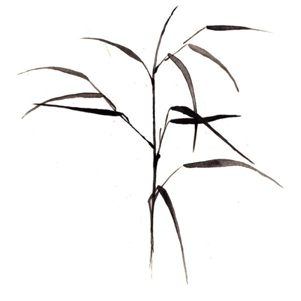 Bamboo Brush Painting Tattoo