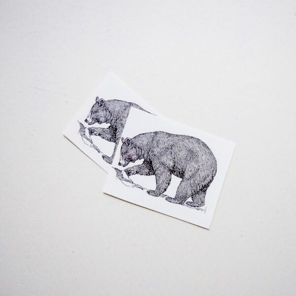 BLACK BEAR - Image 2
