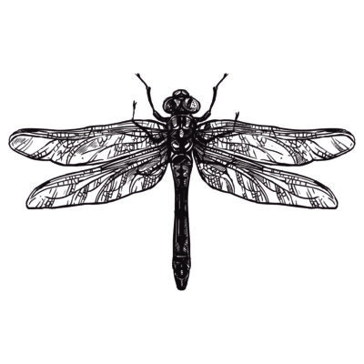 Dragonfly Tattoo