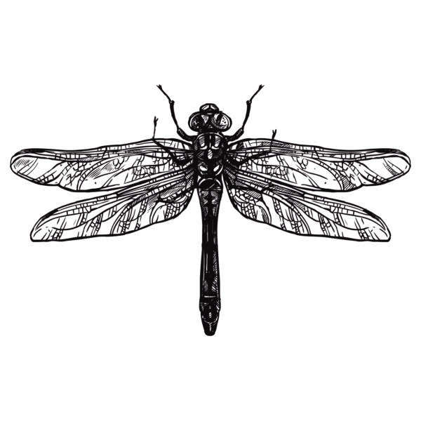 Dragonfly Tattoo