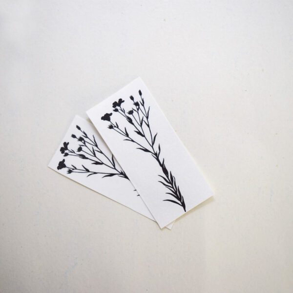 LINSEED - Image 2