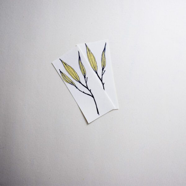 The Heliconia Flower - Image 2