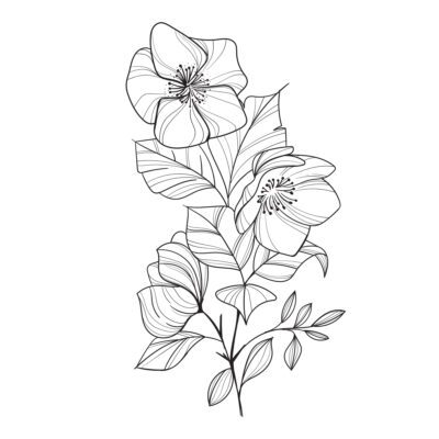 Magnolia Blossom