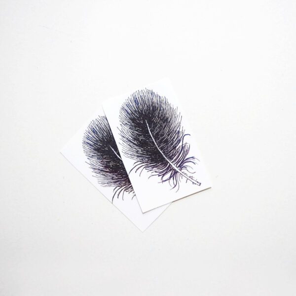 Down Feather - Image 2