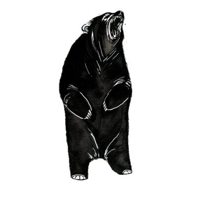 Roaring Bear Tattoo