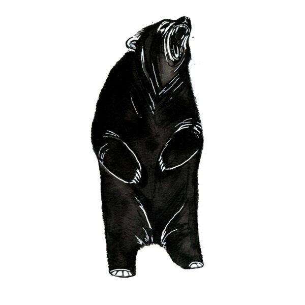 Roaring Bear Tattoo