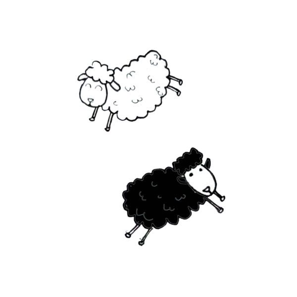 Two Sheep (Black & White)