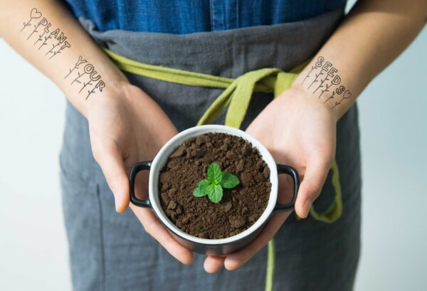 Planet Your Seeds - Image 3