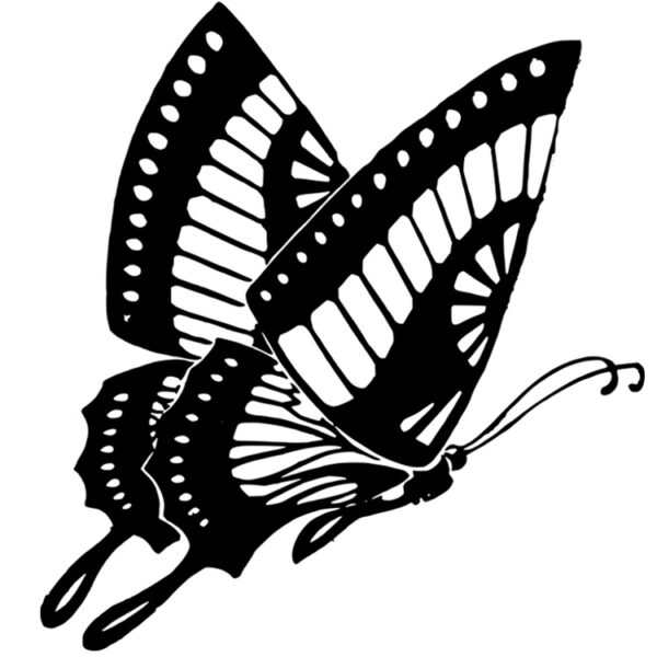 Black Butterfly