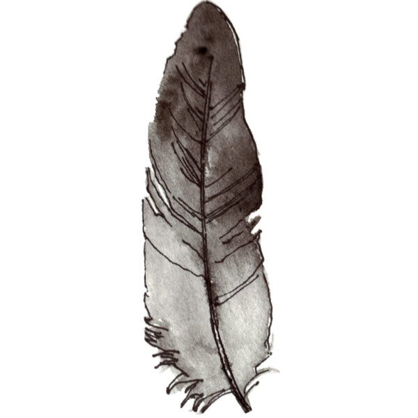 Black Bird Feather