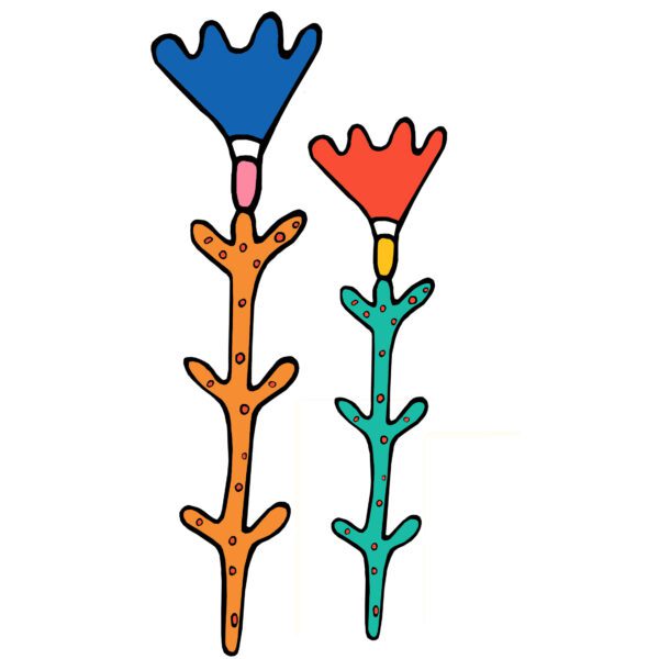 Colorful Flowers
