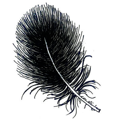Down Feather