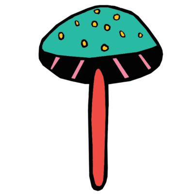 Magic Mushroom