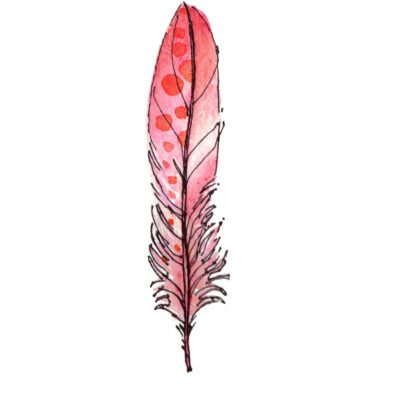 Pink Feather