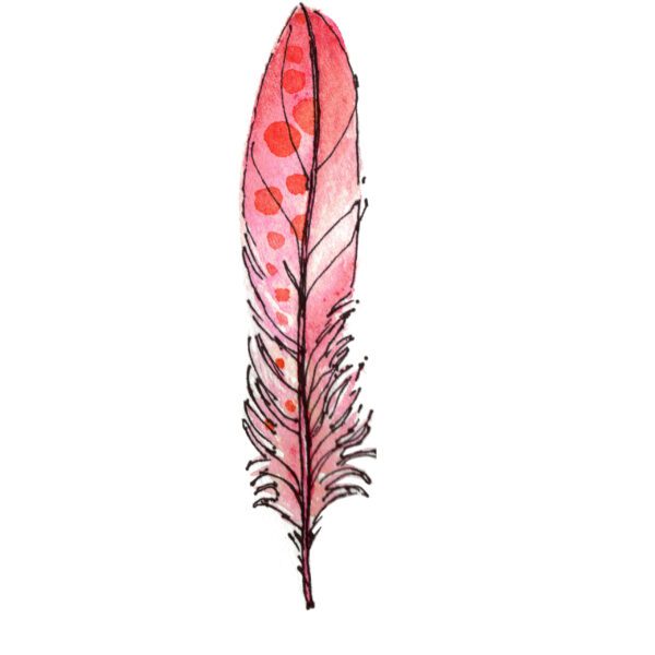 Pink Feather