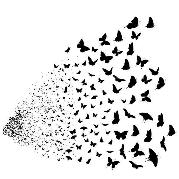 SWARM OF BUTTERFLIES