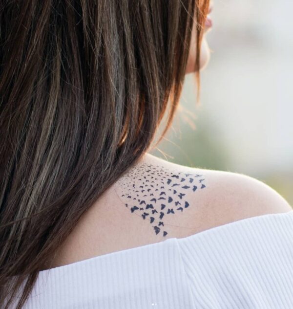 SWARM OF BUTTERFLIES - Image 3