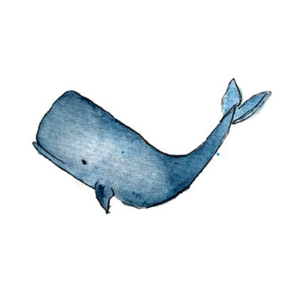 The Sperm Whale