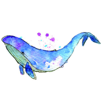 Watercolor Whale