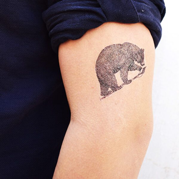 BLACK BEAR - Image 3