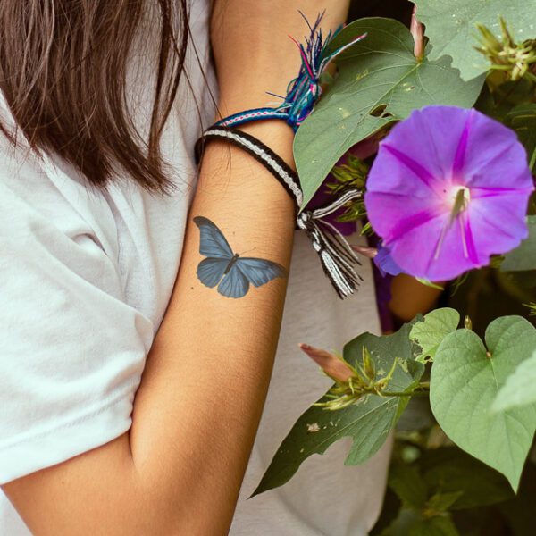 Blue Butterfly - Image 3