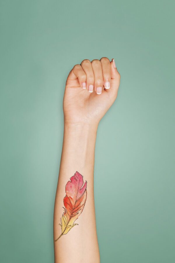 Colorful Feather - Image 3